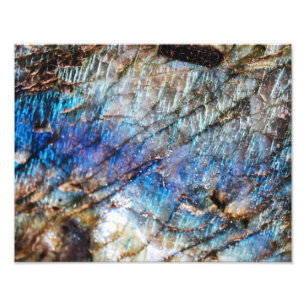 Foto Profundidades Iridescentes