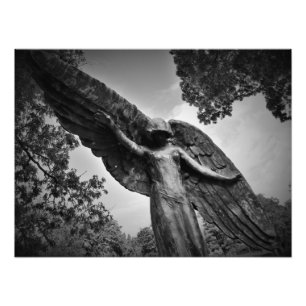 Foto "Proteção de cima"