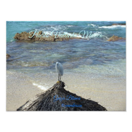 Foto Puerto Vallarta Mexico-Garza Blanca