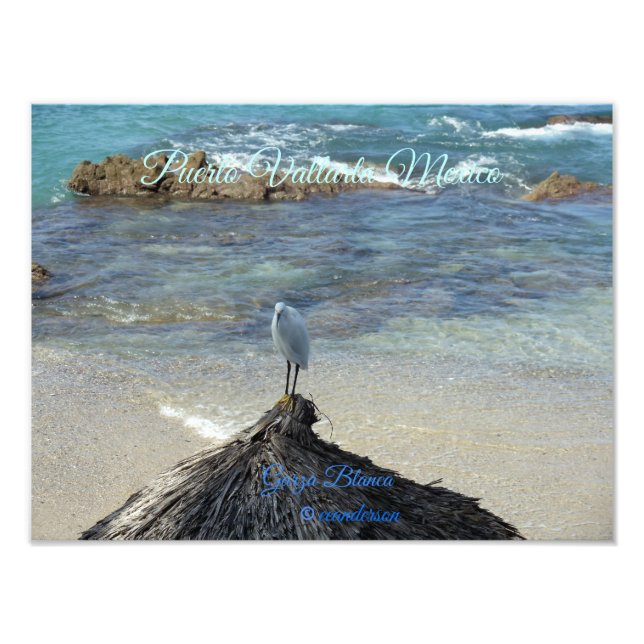 Foto Puerto Vallarta Mexico-Garza Blanca (Frente)