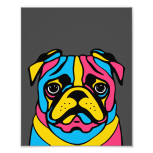 Foto Pug