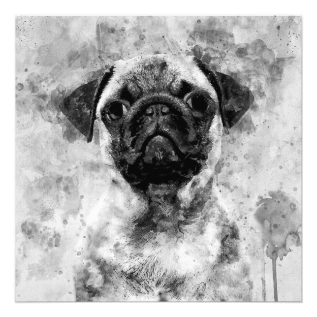 Foto Pug Dog Black and White Watercolor 01 (Frente)