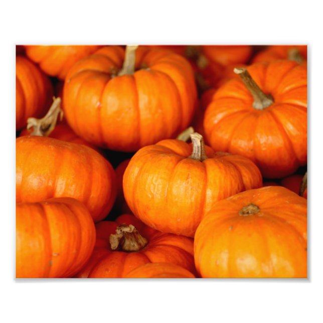 Foto Pumpkins (Frente)