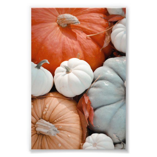 Foto Pumpkins Azul Cor-de-laranja Vermelho (Frente)