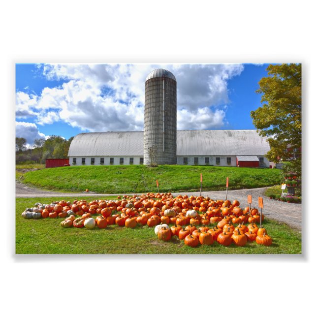 Foto Pumpkins para venda na Pensilvânia Fazenda Barn (Frente)