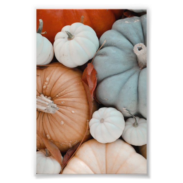 Foto Pumpkins Vermelho Laranja Branco E Azul (Frente)
