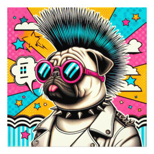 FOTO PUNK-PUG 11