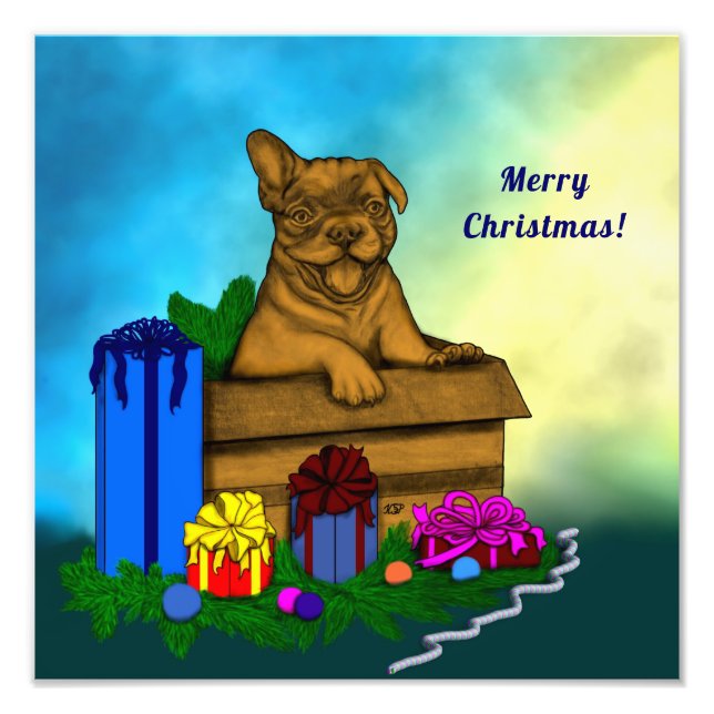 Foto Puppy em uma caixa, Merry Xmas (Frente)