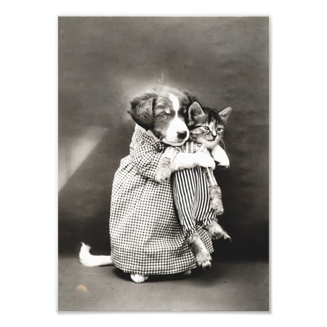 Foto Puppy Segurando Pequeno Gato (Frente)