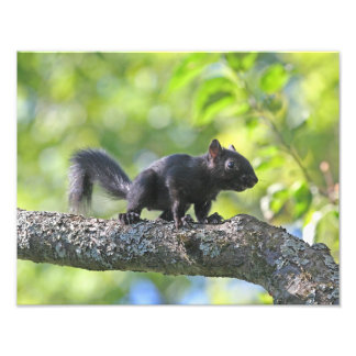 Foto Quadrícula Preta Bebida