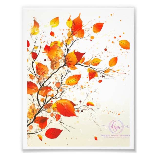 FOTO QUADRO Nº 1 (Frente)