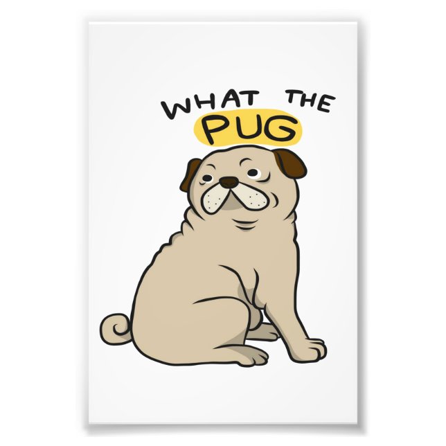 Foto Qual O Pug Cute Fat Pug (Frente)