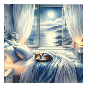 Foto Quarto Costeiro ao Luar com Gato Adormecido