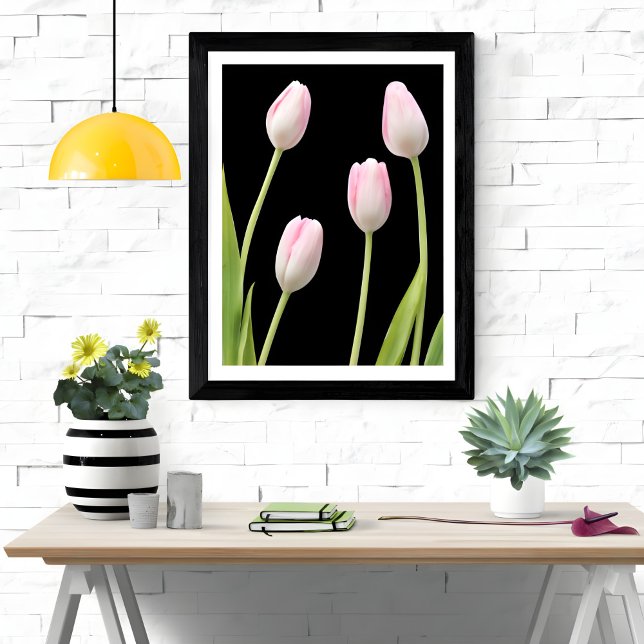 Foto Quatro Tulipas Rosa em Preto (Criador carregado)