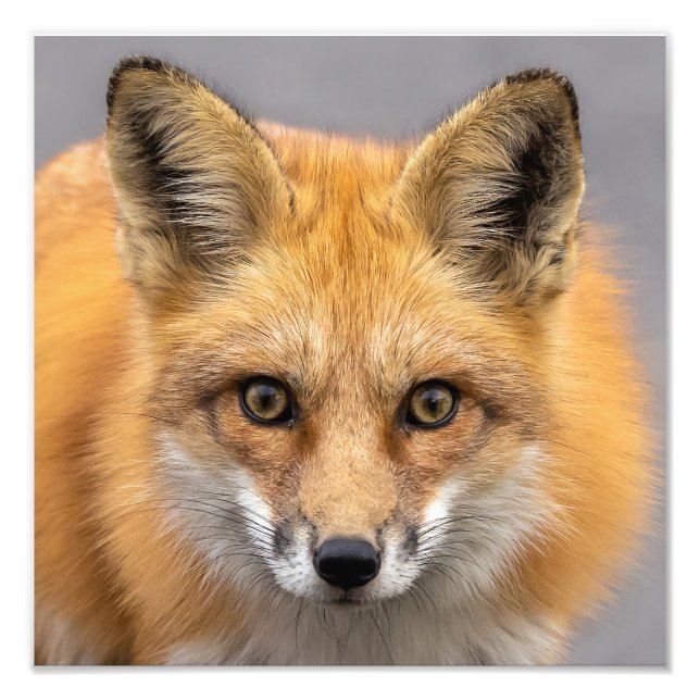 Foto Que olhos grandes você tem (Frente)