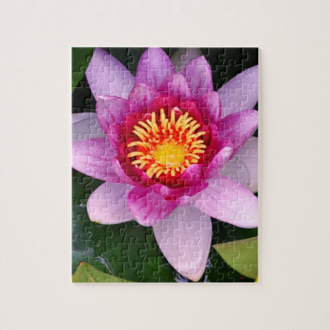 Foto Quebra-Cabeça Flor de Lótus (Vertical)