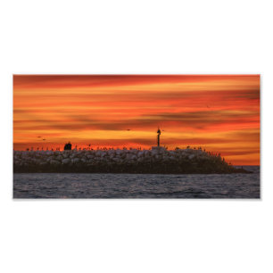 Foto Quebra-mar com Pelicanos - Marina Del Rey, CA