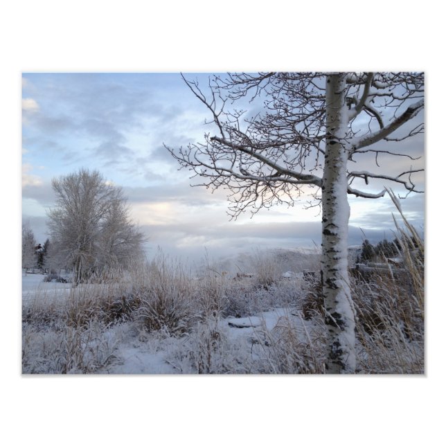 Foto Queda em Jackson Hole, WY (Frente)