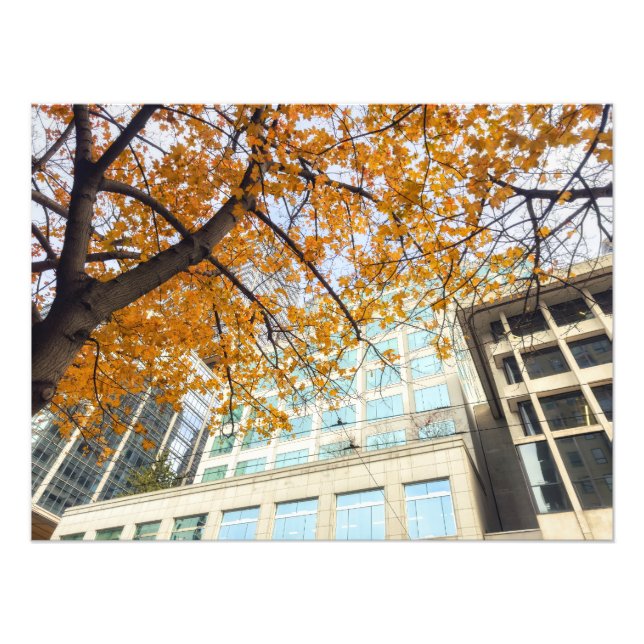 Foto Queda na cidade (Frente)