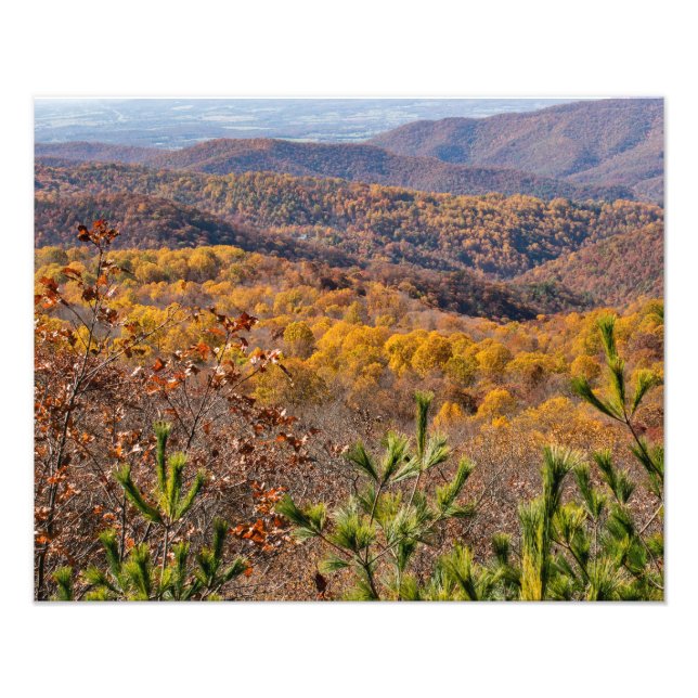 Foto Queda no Parque Nacional de Shenandoah (Frente)