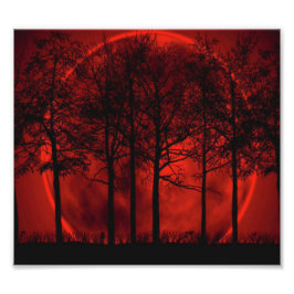 Foto Queimando Vermelho...