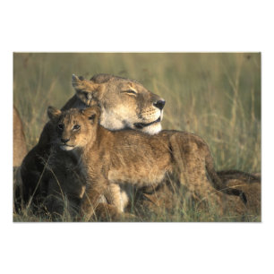 Foto Quênia, Reserva de Caça Masai Mara, Leoa