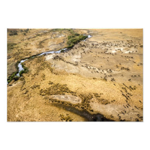 Foto Quênia: Reserva Nacional de Masai Mara, Mara