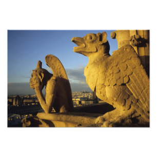Foto Quimera, Catedral de Notre Dame, Paris, França