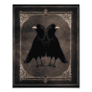 Foto Quirky Twin Crows