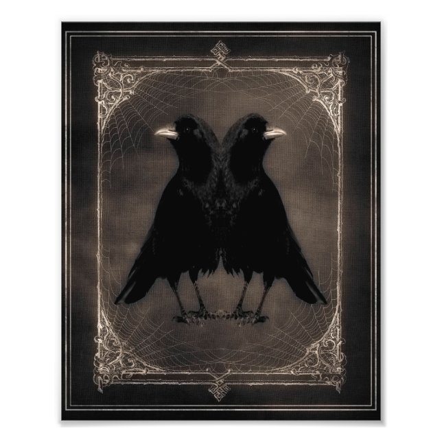 Foto Quirky Twin Crows (Frente)