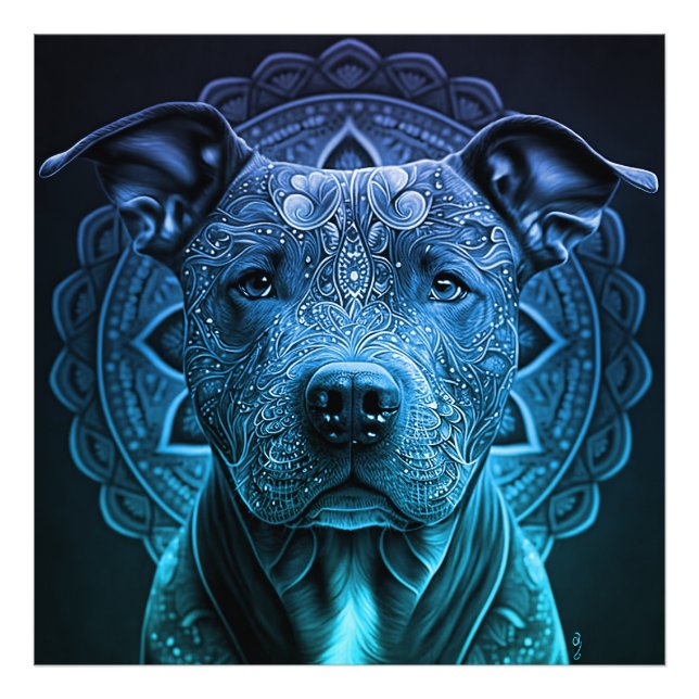 Foto Raça de Cachorro Pittbull (Frente)