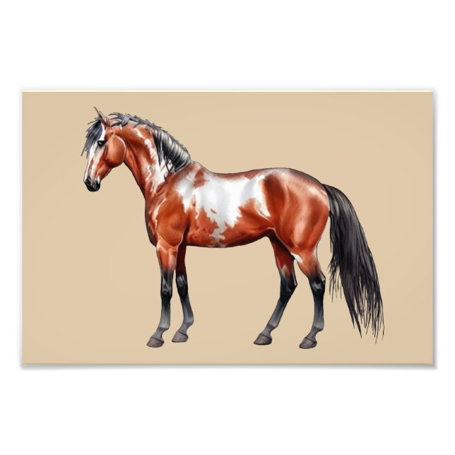 Foto Rain Spirit - Pferd, stehend - Poster,  (Frente)