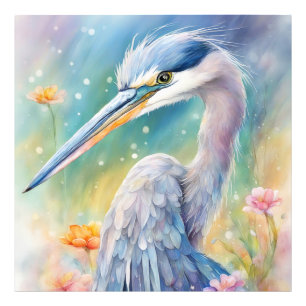 Foto Rainbow Birds Blue Heron 2