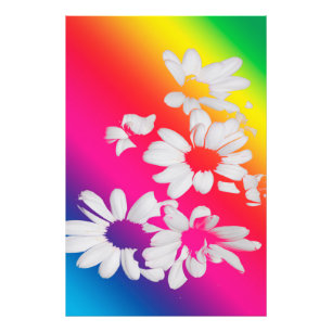 Foto Rainbow daisies