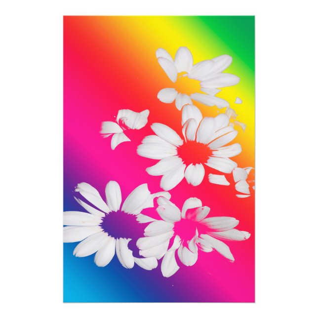 Foto Rainbow daisies (Frente)