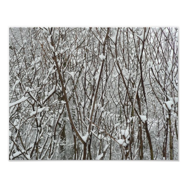 Foto Ramificações cobertas por neve Abstrato de inverno (Frente)