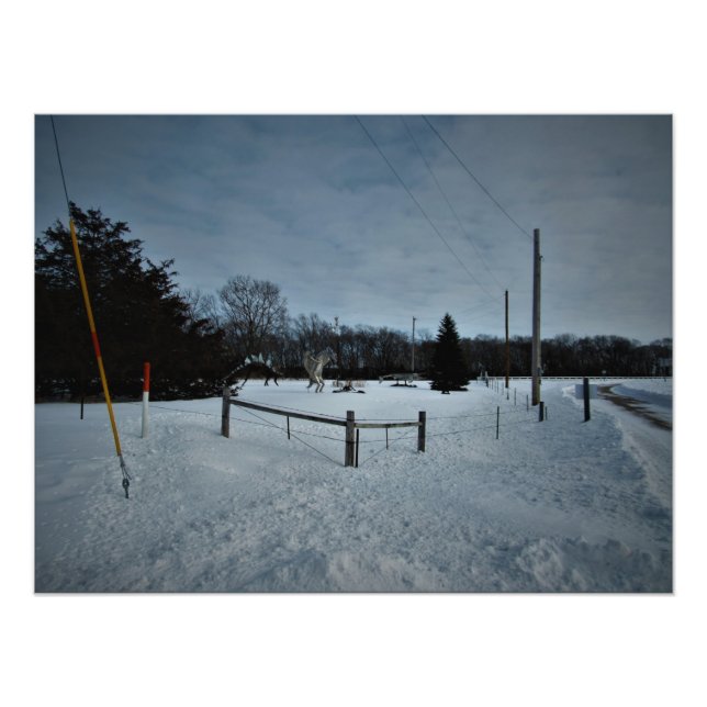 Foto "Rampage in the Park" (Frente)