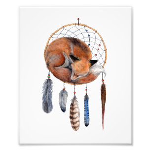 Foto Raposa Vermelha Dormindo no Dreamcatcher Art Impre