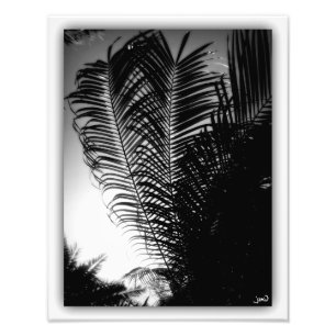 Foto Raspadores do céu