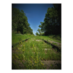 Foto "Rastrear e Campo"