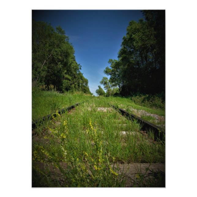 Foto "Rastrear e Campo" (Frente)