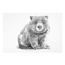 Foto realistic wombat in pencil drawing style