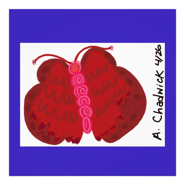 Foto Red Angel Butterfly (Frente)