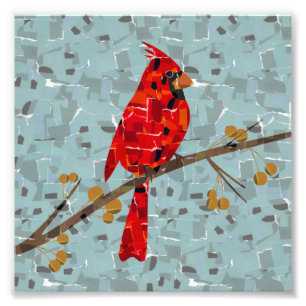 Foto Red Cardinal, a ave do Natal