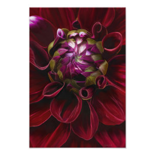 Foto Red Dahlia Photo Impressão