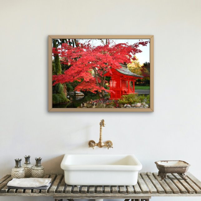Foto Red Japan Maple e Garden Shrine (In Situ Framed)
