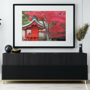 Foto Red Japonês Mapeou Folhas e Shinto