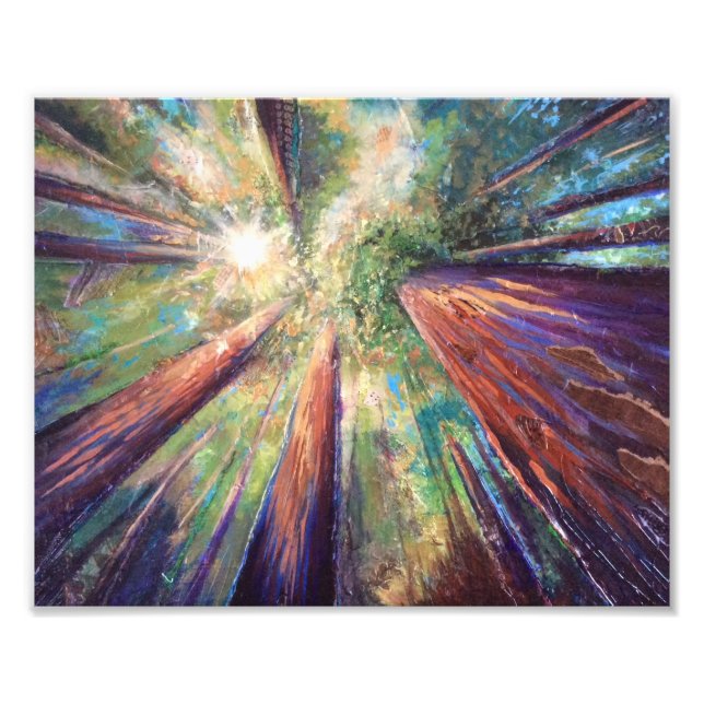 Foto Redwood Canopy (Frente)