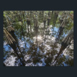 Foto Reflections Of Ancient Florida Cypress Tree Swamp<br><div class="desc">Experience the peacefulness of ancient Florida reflections with authentic photography of a South Florida Cypress swamp. The enchanting Bald Cypress trees are mirrored perfectly on the glass like water, as air plants cling to the wispy branches. This print is ideal for collectors of reflection photography and Florida landscape lovers.</div>