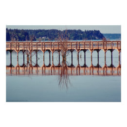 Foto Refletindo Juntos